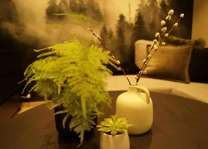 Koselig I Apartment Langevag